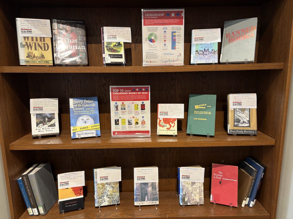 Picture of books in a display shelving unit